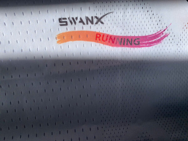 SwanX AWM EAGLE - Ảnh 8